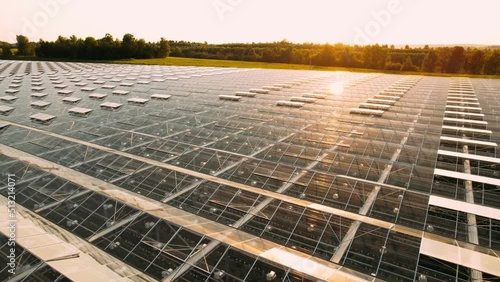 Aerial drone view of large glass windows on the roof of the greenhouse. Farming, agriculture industry. Flying over large industrial greenhouses at sunny day. Flora. Ecosystem. Agro. Eco. Modern agricu photo