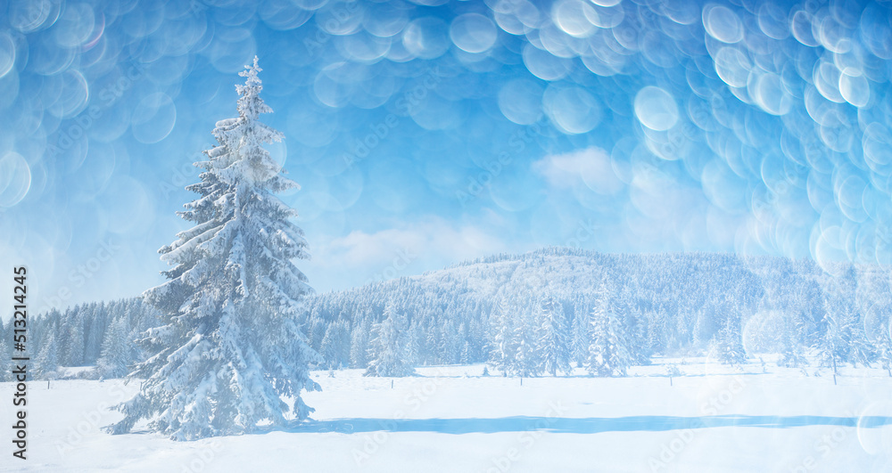 Fototapeta premium winter landscape with big snow covered tree