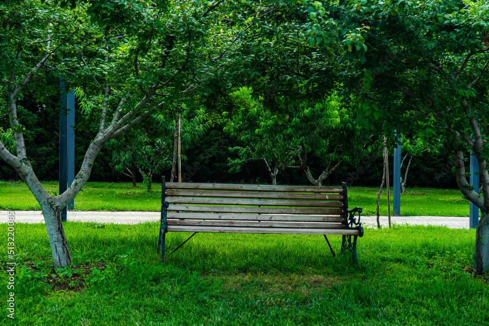 Park bench in the park Park bench in the park