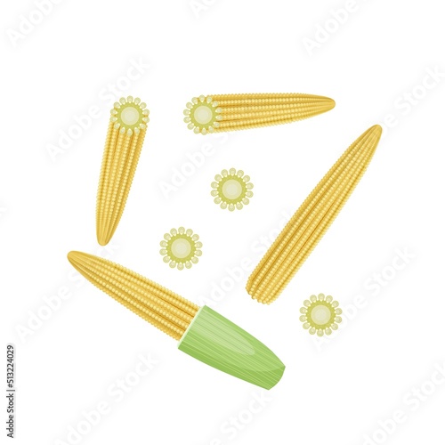 Vector illustration, baby corn with chunks and slices, isolated on white background, perfect for packaging labels.