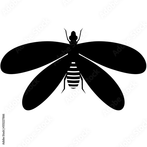 Alates termite silhouette vector illustration. Isolated on a white background. photo
