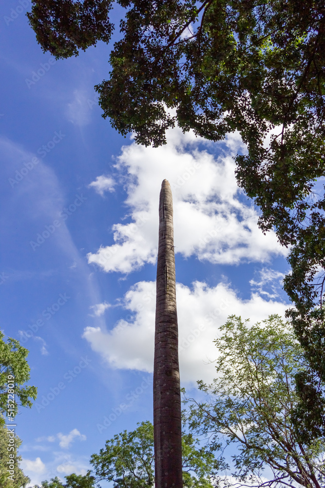 monument in the park
