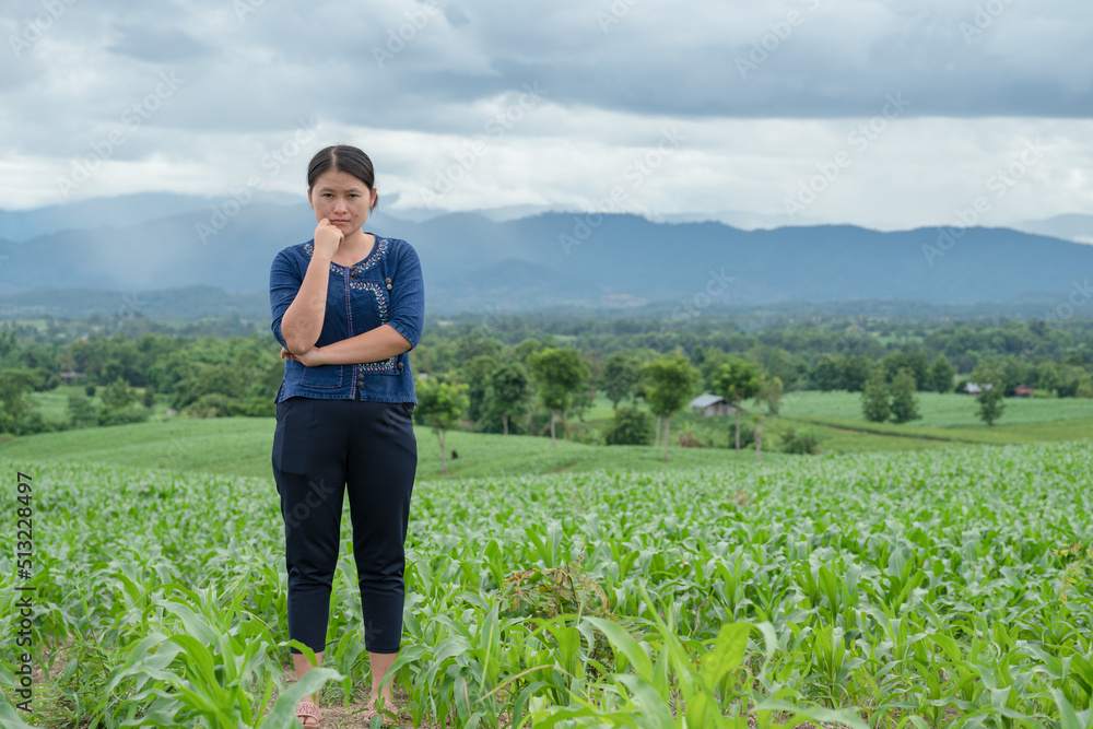 A local woman stands in a cornfield in the dark rainy season.