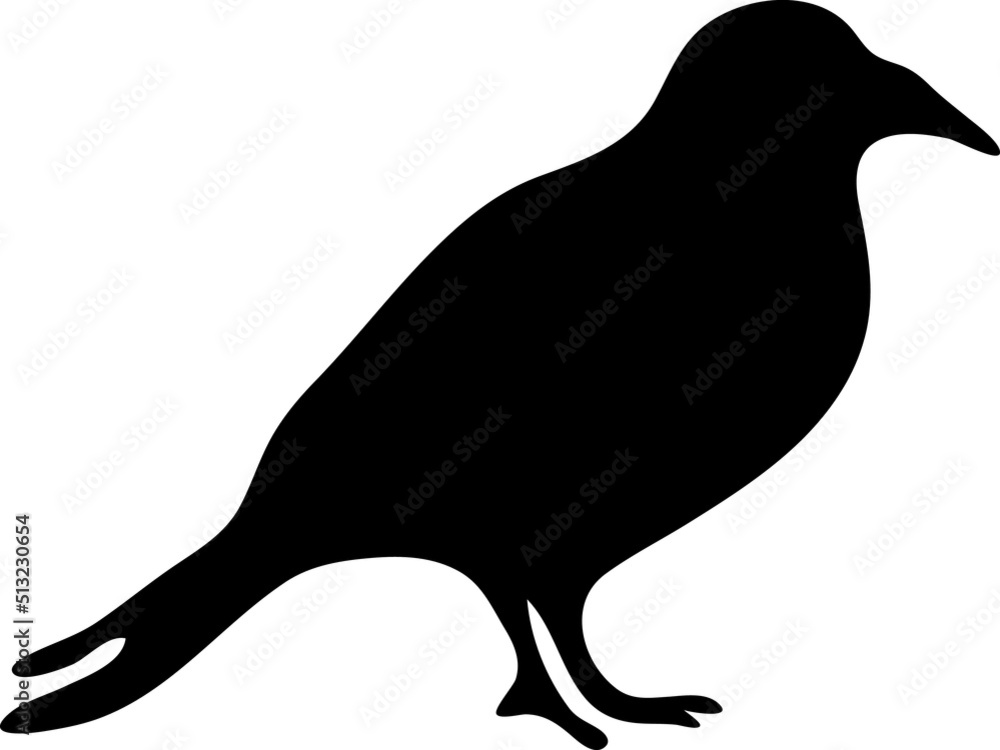 silhouette of a bird silhouette of a bird