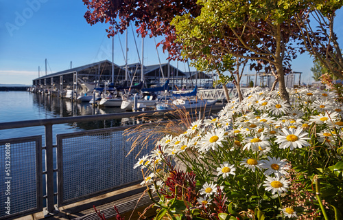 Evening sun on the marina and flowers along the Port of Edmonds waterfront, Washington photo