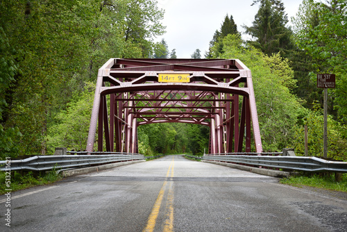 bridge in the forest