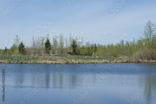 Pylypow Wetlands on a Sunny Spring Day