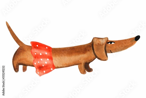 Watercolor illustration of a dachshund in a polka dot skirt.