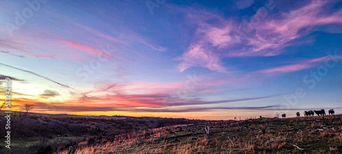 sunset, evening, peaceful 