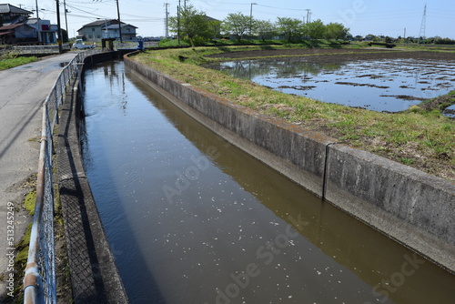 Wallpaper Mural 農業用水路兼排水路 茨城県 Torontodigital.ca