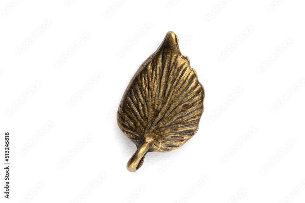 Bronze retro plant leaf on a white isolated. Close up
