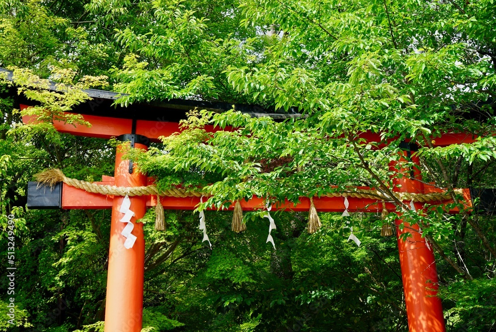 Japanese shrine red torii gate in Uji, Kyoto Japanese shrine red torii gate in Uji, Kyoto