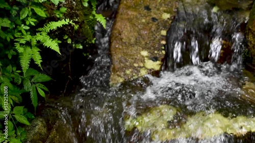 Cascade in the forest, close-up