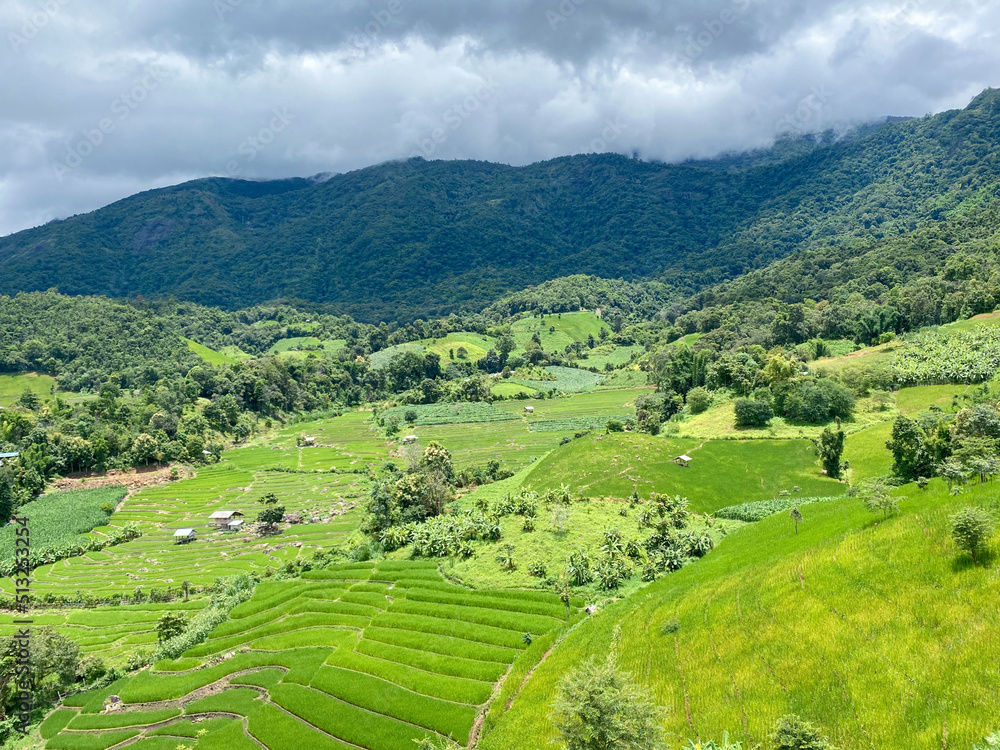 Obraz premium landscape in the mountains