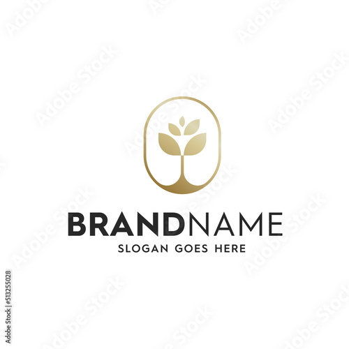 Flower Logo Icon Design Vector Template