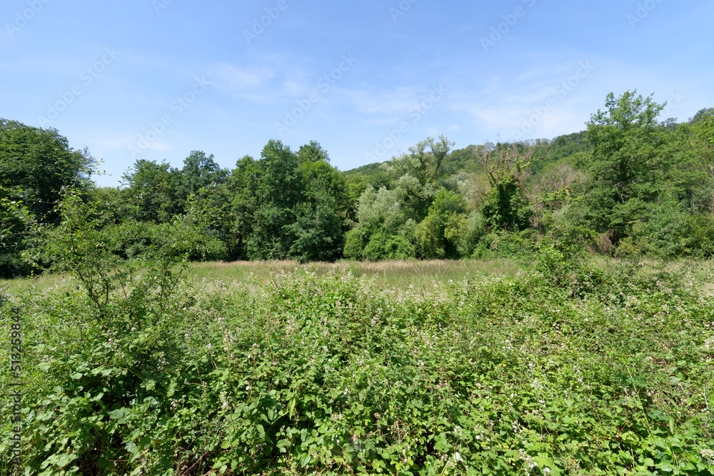 Renarde valley in Ile-De-France region