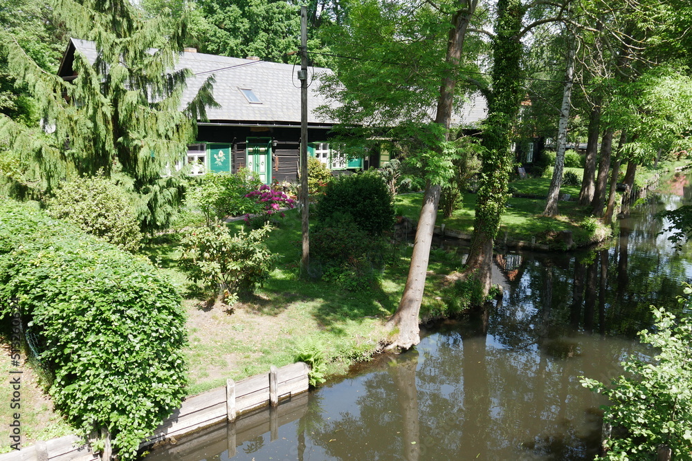 Obraz premium Flussromantik im Speewald