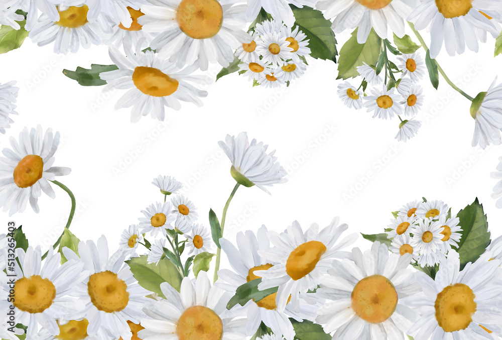 Seamless border with watercolor daisies. Hand drawn botanical drawing ...