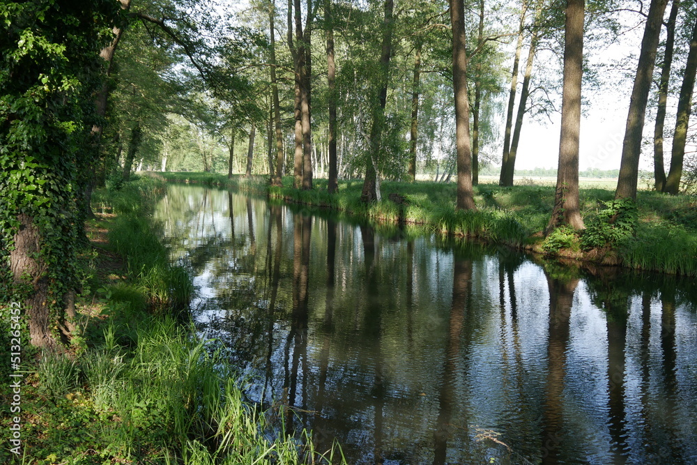 Natur mit Wald an einem Kanal im Spreewald Natur mit Wald an einem Kanal im Spreewald
