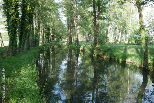 Natur mit Wald an einem Kanal im Spreewald