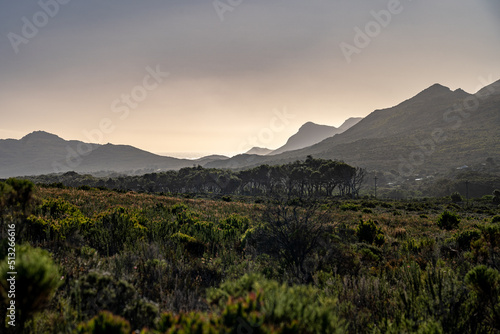 sunset in cape point nature reserve