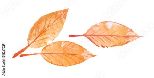 Abstract background, watercolor: leaves, painted on a paper. Pink, red, orange, yellow