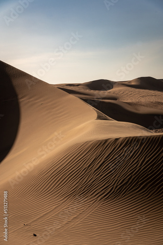 Fototapeta Naklejka Na Ścianę i Meble -  sand dunes in the desert 
