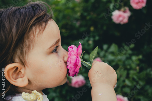 Portrait of a little girl smelling a pink rose. 