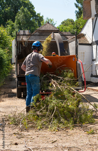 Hampshire, England, UK. 2022. Man using a large shredding machine to shred leaves and branches from a felled Pine tree