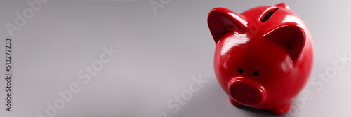 Red piggy bank standing on gray background closeup