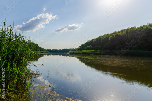 Fototapeta Naklejka Na Ścianę i Meble -  View along the river with tall green reeds running along one bank of the river under a bright clear blue sky and calm water on a beautiful summer day, in the morning, at sunset. A series of pictures.