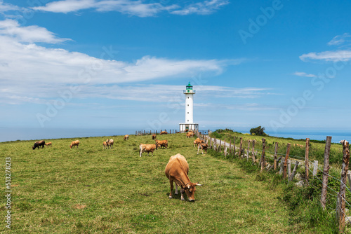 Lastres lighthouse with cows in the surrounding pastures, Asturias. photo