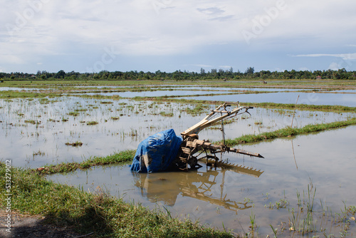 Canvastavla A rice field hijacker in the middle of the rice field