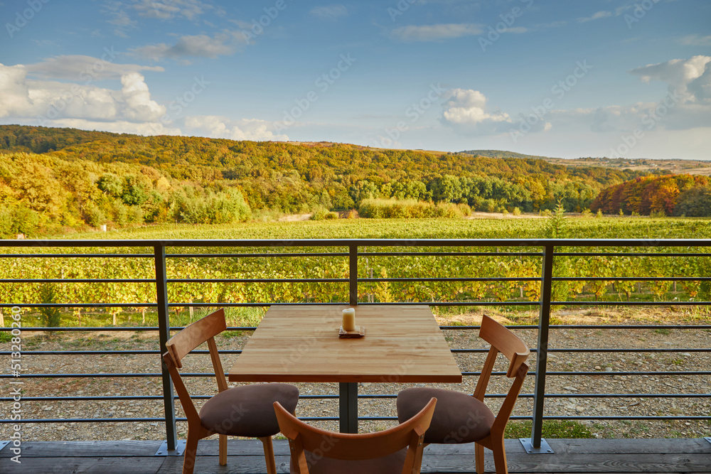 magnificent view from the terrace to the vineyard and mountains magnificent view from the terrace to the vineyard and mountains
