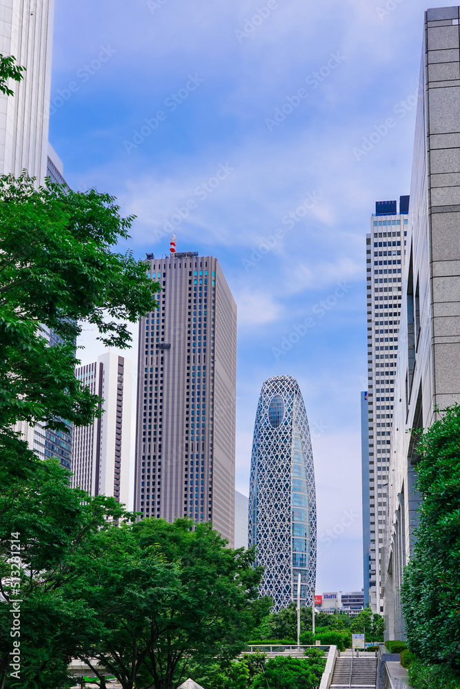 新宿中央公園と東京都庁を結ぶ虹の橋から西新宿の超高層ビル群