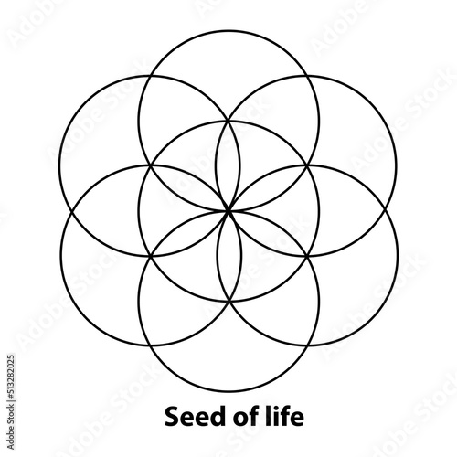 Flower of Life, Seed and Egg of Life, development. Geometrical figures, spiritual symbols and sacred geometry. Circles forming symmetrical flower-like patterns. Illustration over white. Vector.