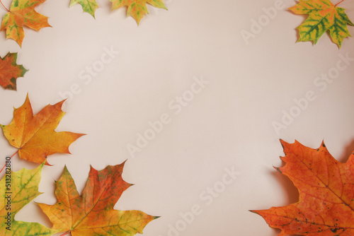 Frame of colorful red and yellow autumn leaves with cones and rowan berries on trendy beige background. First day of school, back to school, fall concept. 