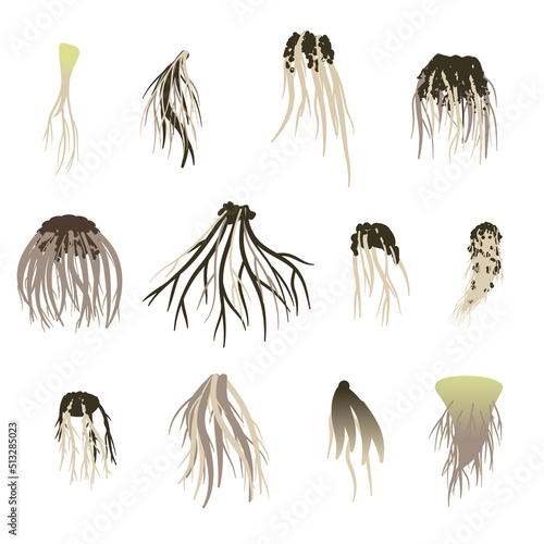 Root set. Taproot and fibrous root system of plants. Tree roots isolated on white background. Vector illustration.