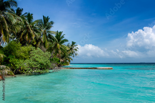 Beautiful Maldives island  beach with palm trees and azure water. Vacation concept travel holiday background banner. Maldives paradise beach. Luxury travel to tropical paradise.
