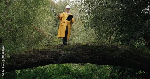 Specialist in a protective helmet and a yellow raincoat from the environmental service. Stands on a fallen tree and gestures to the workers how to cut it to clear the forest