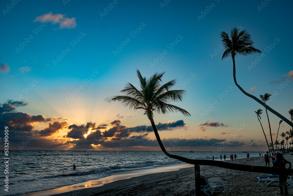 Tropical Beach with Palms