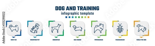Leinwand Poster dog and training concept infographic design template