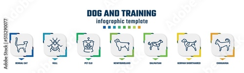 dog and training concept infographic design template. included bengal cat, null, pet clo, newfoundland, dalmatian, german shorthaired pointer, chihuahua icons and 7 option or steps.