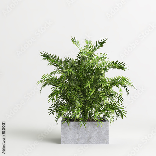 3d illustration of houseplant potted isolated on white background