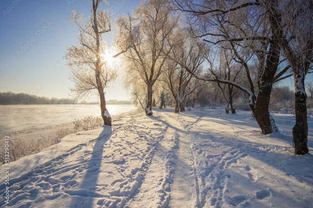 winter landscape with trees