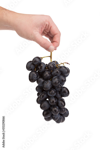 A bunch of grapes in a human hand.