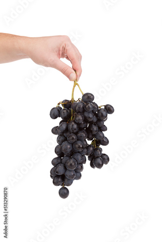A bunch of grapes in a human hand.
