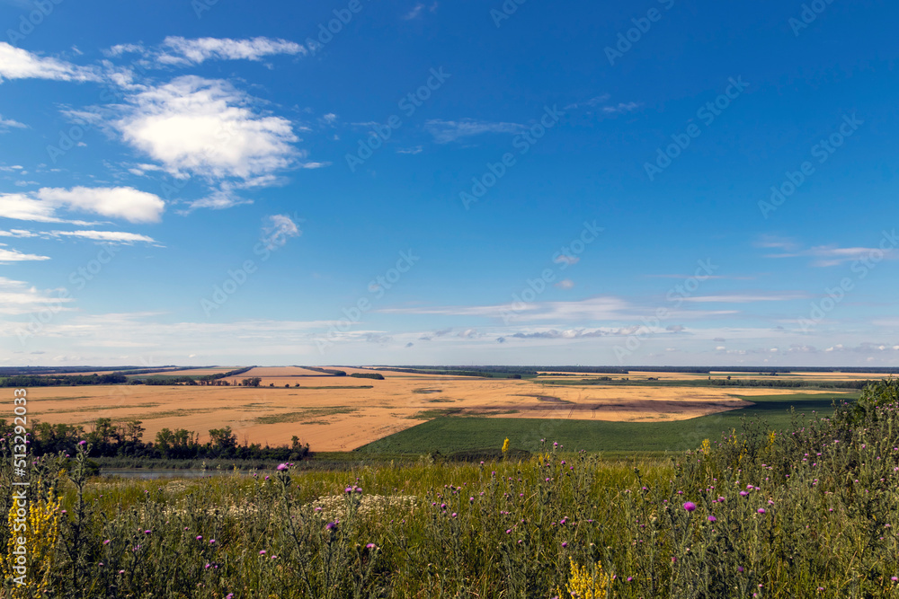 Summer, landscape with a view of the meadow, fields, river and blue sky. Sunny summer scene with river, fields, green hills and beautiful clouds in the blue sky. Nice panoramic view.