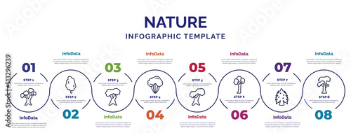 infographic template with icons and 8 options or steps. infographic for nature concept. included eastern white pine tree, white oak tree, shadbush tree, northern red oak pin cherry eastern hemlock photo