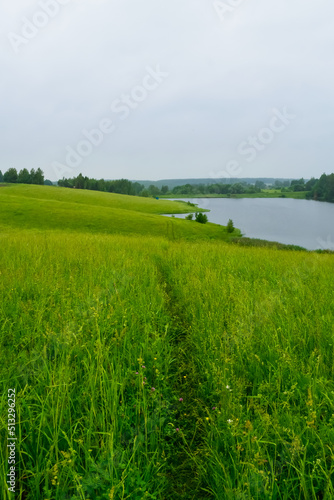 landscape with green grass and river